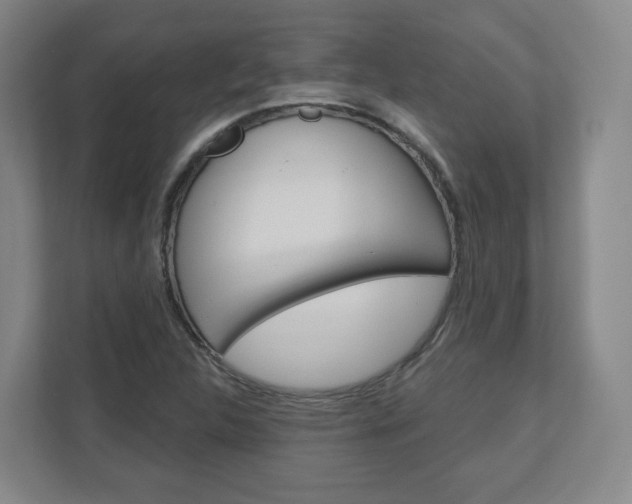 X0000110921312200906181208