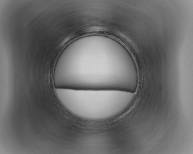 X0000110921313200906181208