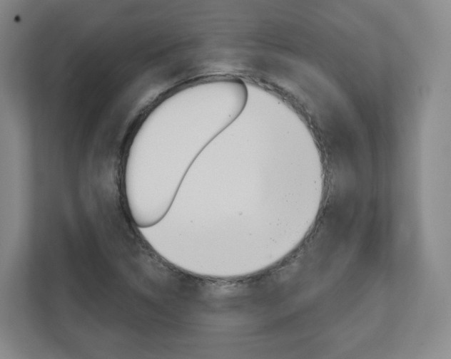 X0000110921314200906181208