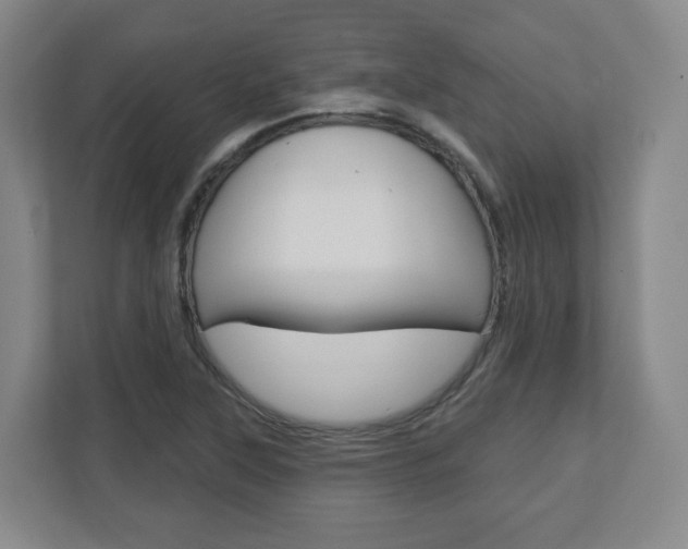 X0000110921315200906181208