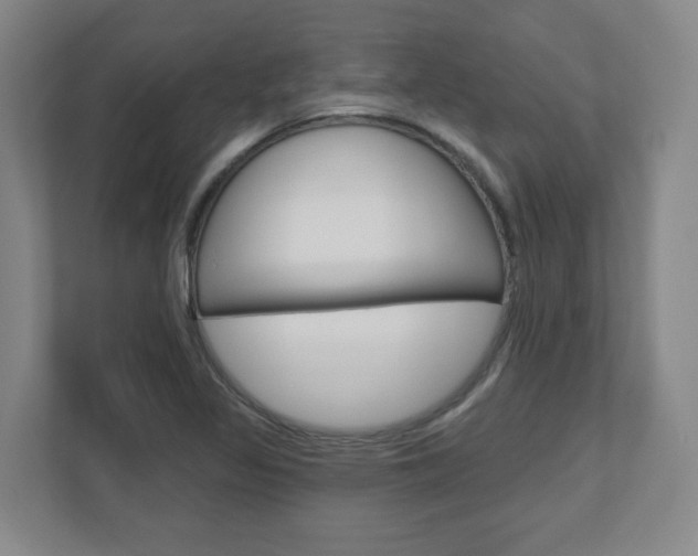 X0000110921317200906181208