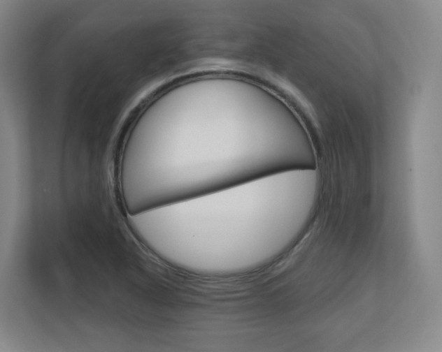 X0000110921318200906181208