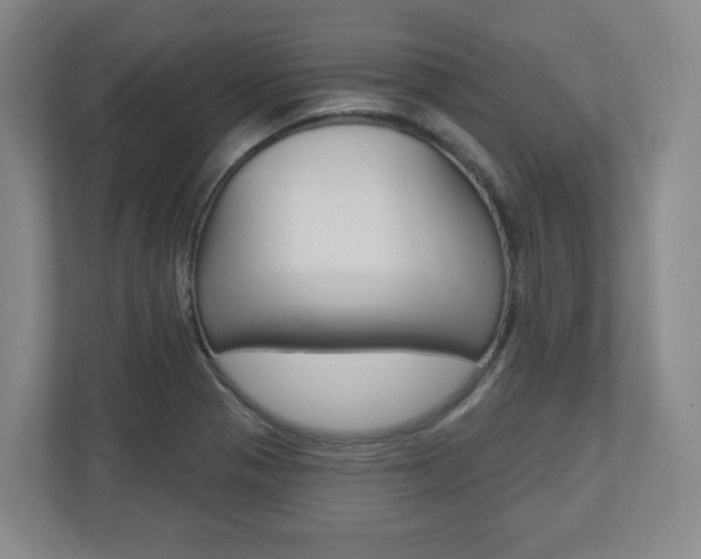 X0000110921321200906181208