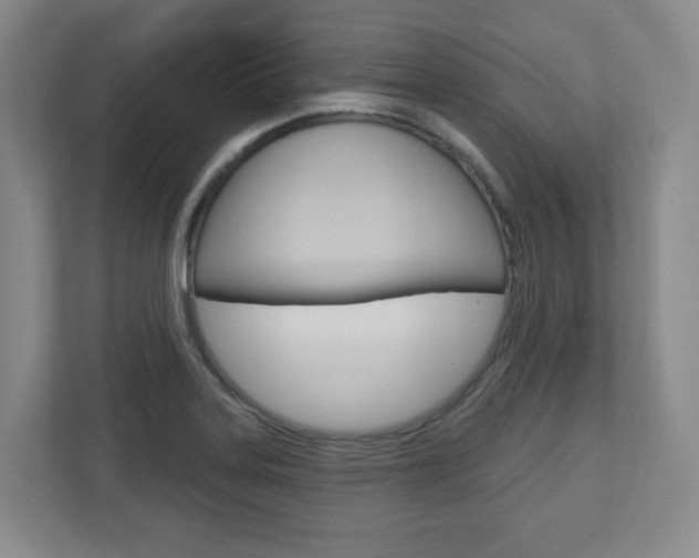 X0000110921323200906181208