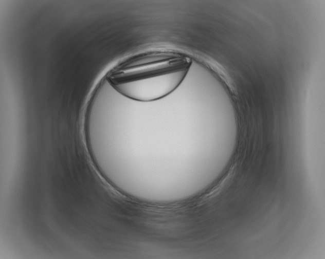 X0000110921326200906181208