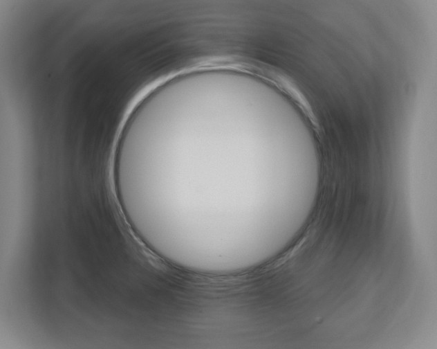 X0000110921328200906181208