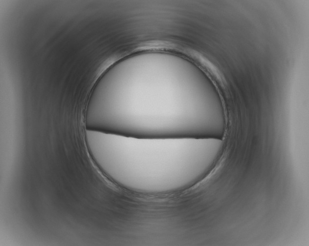X0000110921329200906181208