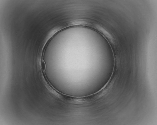 X0000110921330200906181208