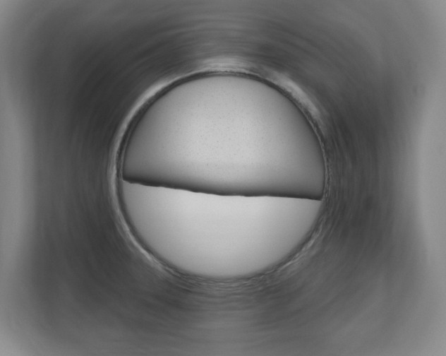 X0000110921331200906181208
