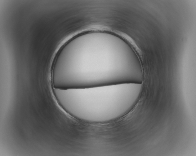 X0000110921335200906181208