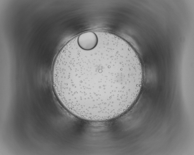 X0000110921338200906181208