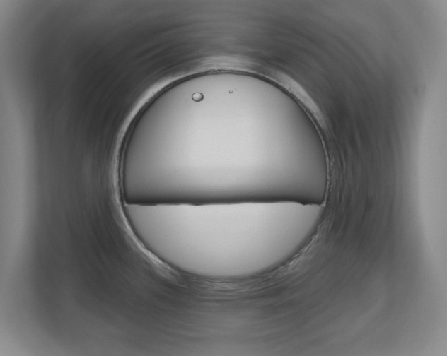 X0000110921339200906181208