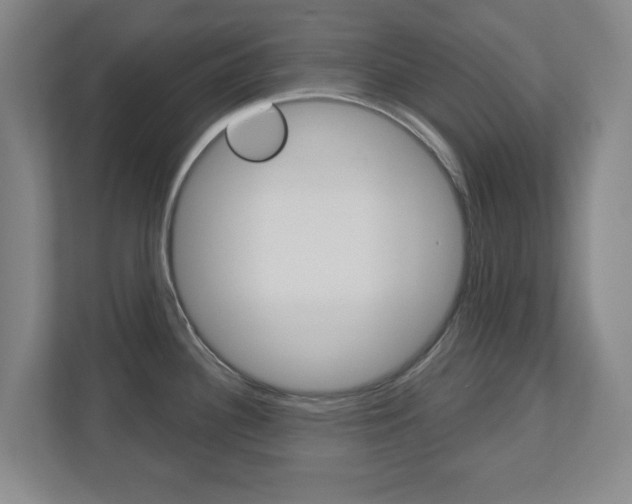 X0000110921340200906181208