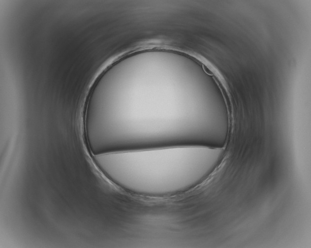 X0000110921341200906181208