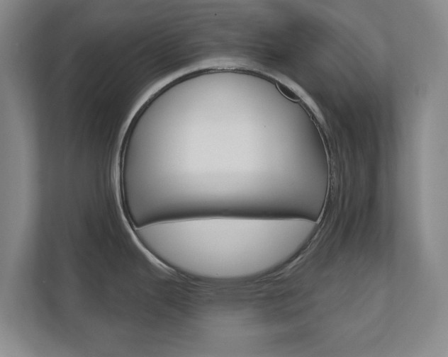 X0000110921343200906181208