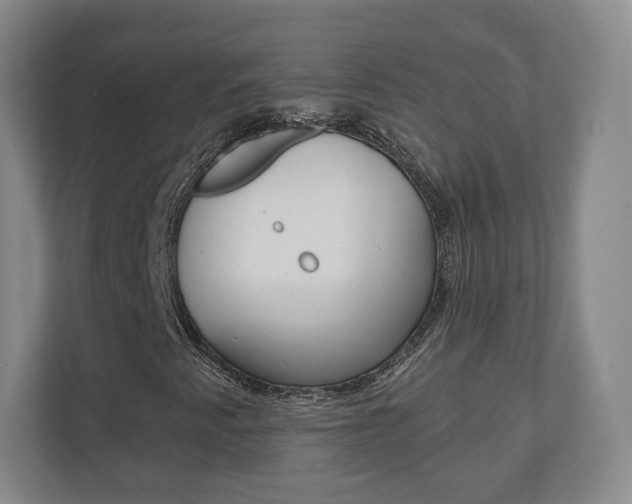 X0000110921345200906181208