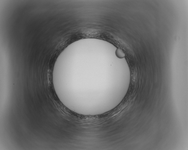 X0000110921346200906181208
