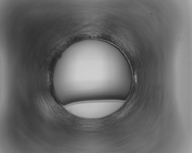 X0000110921347200906181208