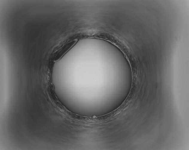 X0000110921349200906181208