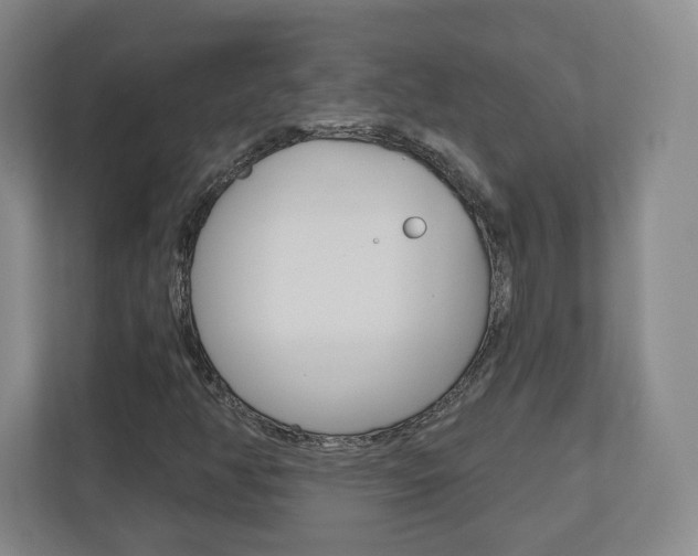 X0000110921350200906181208