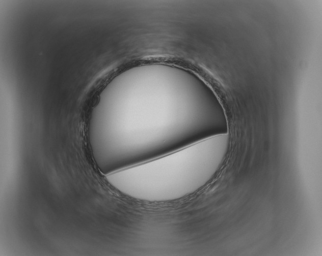 X0000110921351200906181208