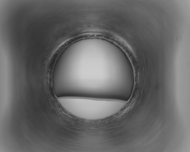 X0000110921352200906181208
