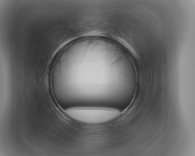 X0000110921356200906181207