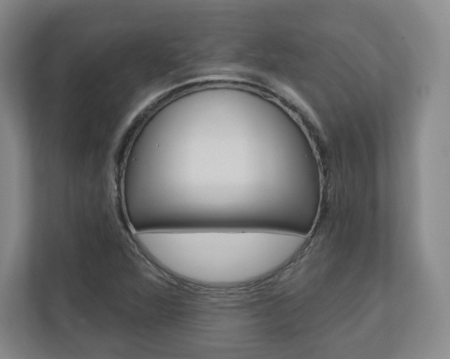 X0000110921360200906181207