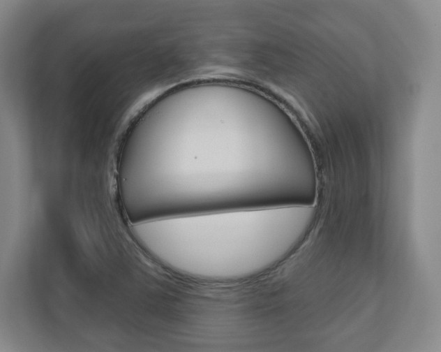 X0000110921363200906181207