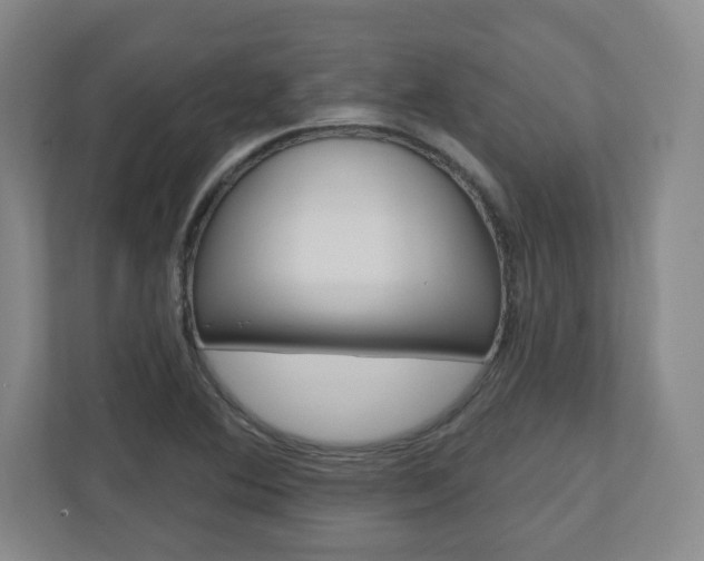 X0000110921364200906181207