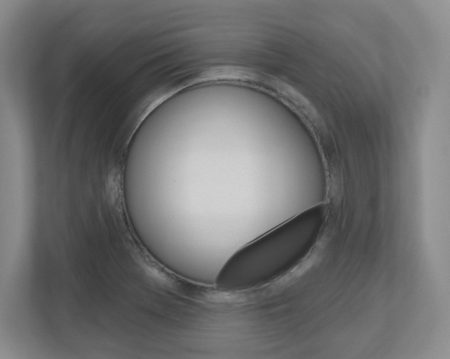 X0000110921369200906181207