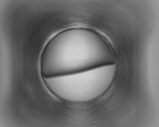 X0000110921375200906181207