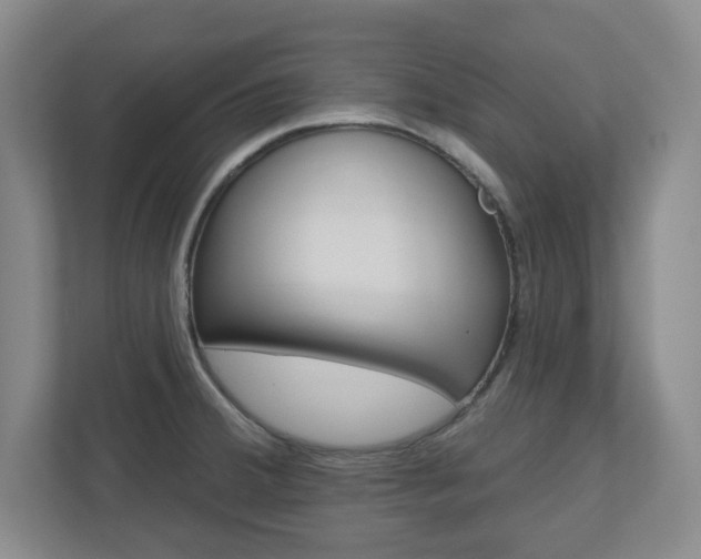 X0000110921380200906181207
