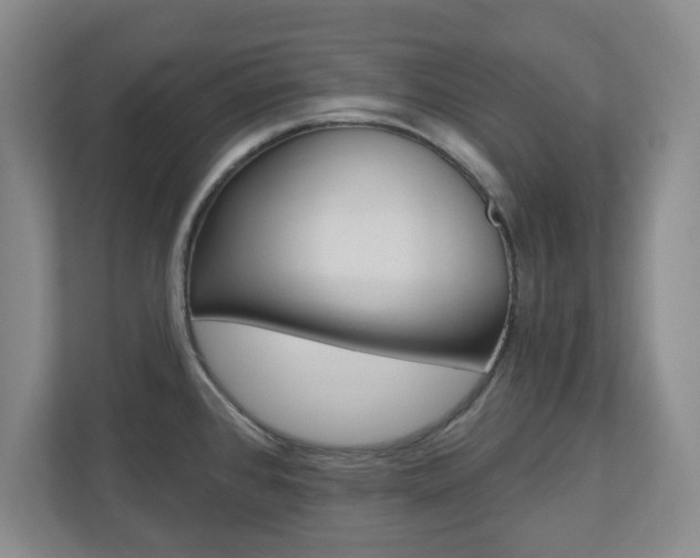 X0000110921384200906181207