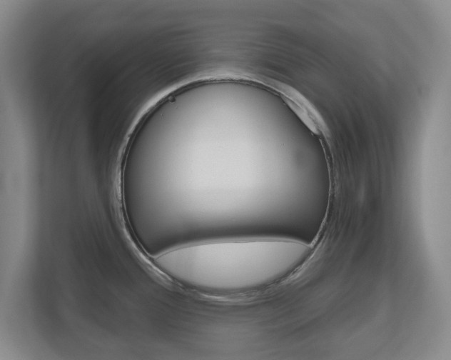 X0000110921388200906181207
