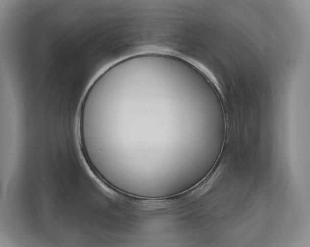 X0000110921391200906181207