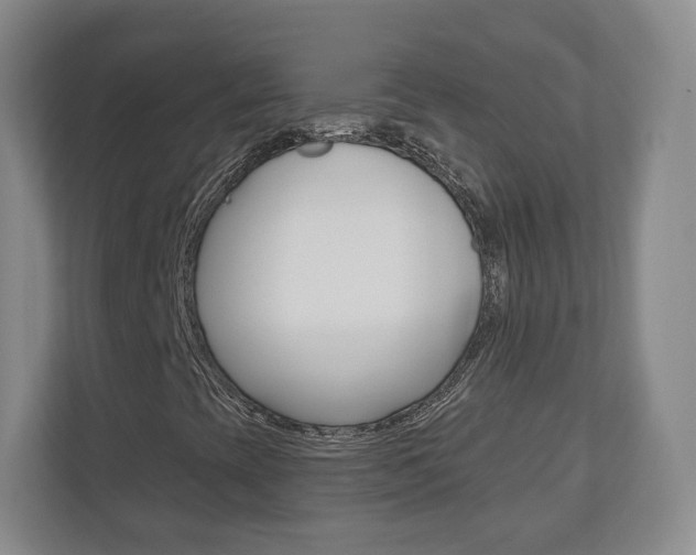 X0000110921393200906181206