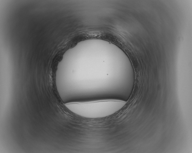 X0000110921394200906181206