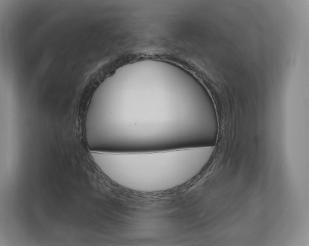 X0000110921398200906181206
