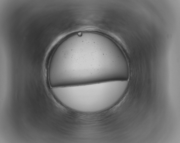 X0000110921414200906181207