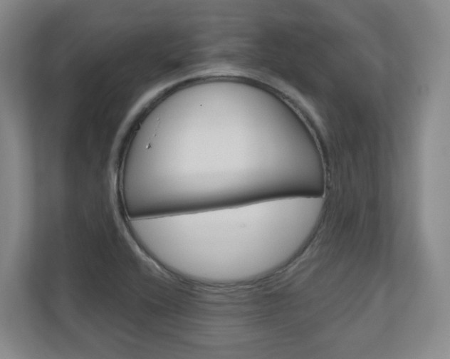 X0000110921416200906181207