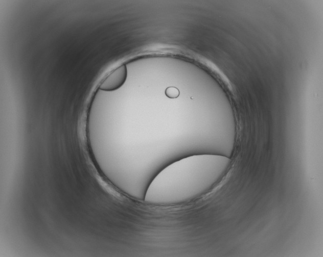 X0000110921421200906181207