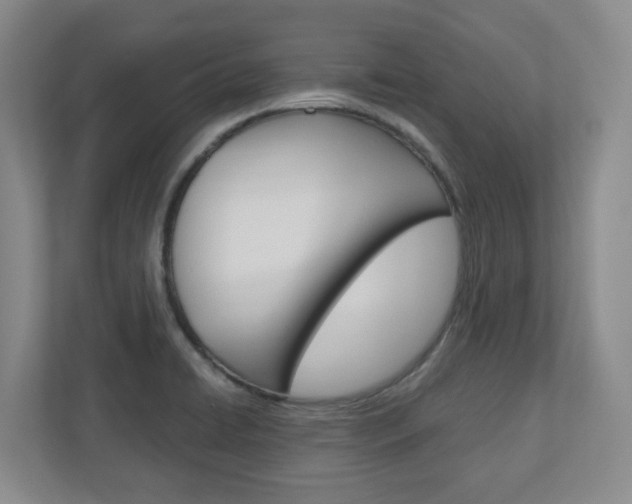 X0000110921422200906181207