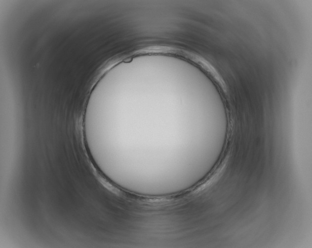 X0000110921425200906181207