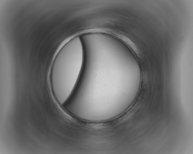 X0000110921428200906181207