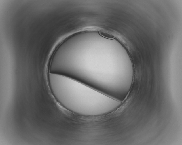 X0000110921430200906181207