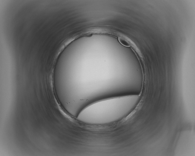 X0000110921433200906181207