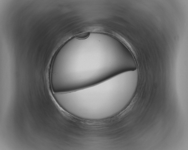 X0000110921434200906181207