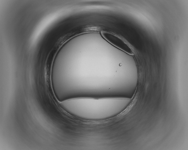 X0000110921438200906181207