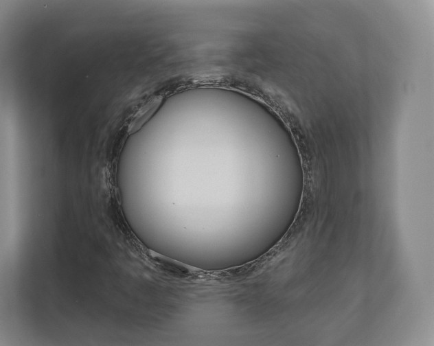 X0000110921445200906181206